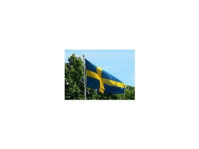Photo Small Swedish Flag Other