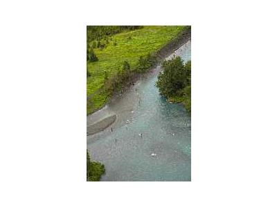 Combat Fishing Along The Banks Of The Russian River 00002 Photo Small Wildlife