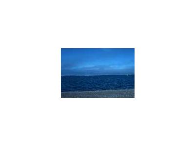 Coastal Area 51 00041 Photo Small Wildlife
