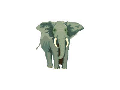 Elefante01 Architetto Fr 01 Animal