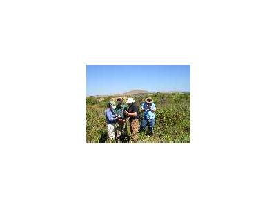 WOE94 Volunteers In Training To Map Invasive Plants At San Pablo NWR 00108 Photo Small Wildlife