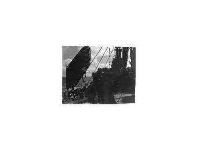 Balsa Raft On Cargo Ship During WW II 00171 Photo Small Wildlife