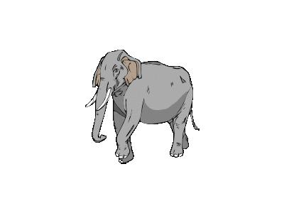 Elefante02 Architetto Fr 01 Animal