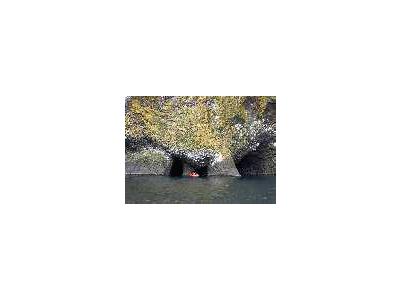 Akun Island Columnar Basalt In The Aleutian Islands Alaska 00194 Photo Small Wildlife