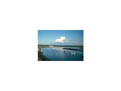 Fishing Boats On The Kenai River 00224 Photo Small Wildlife