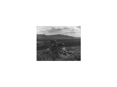 Stone Cairn On Tundra 00254 Photo Small Wildlife