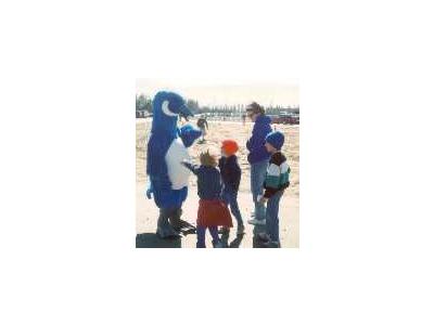 Blue Goose Talking Conservation 00283 Photo Small Wildlife