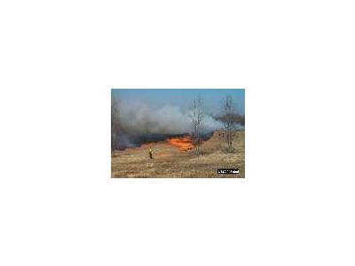 Field Burning At Occoquan Bay National Wildlife Refuge 00334 Photo Small Wildlife