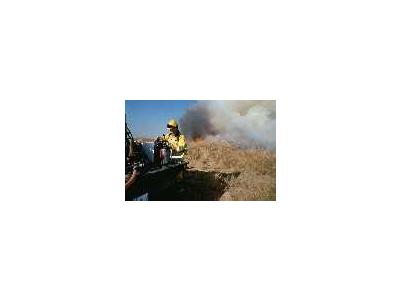 FWS Fire Crew On Prescribed Burn 00344 Photo Small Wildlife