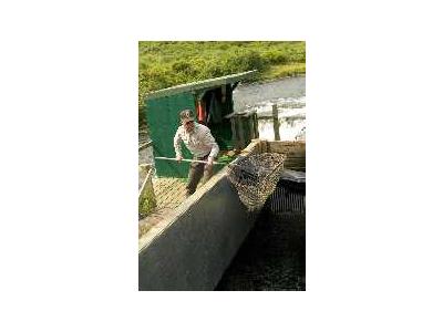 FWS Staff Monitoring Frazer Fish Pass 00348 Photo Small Wildlife