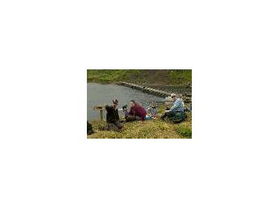 People Observing Bears At Frazer Fish Pass 00351 Photo Small Wildlife