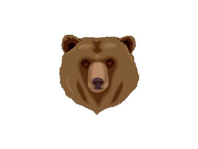 Orso Architetto Francesc 01 Animal