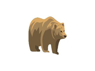 Orso Architetto Francesc 03 Animal