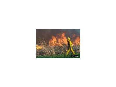 Grassland Burning At Bombay Hook National Wildlife Refuge 00436 Photo Small Wildlife