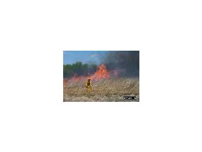 Grassland Burning At Bombay Hook National Wildlife Refuge 00439 Photo Small Wildlife