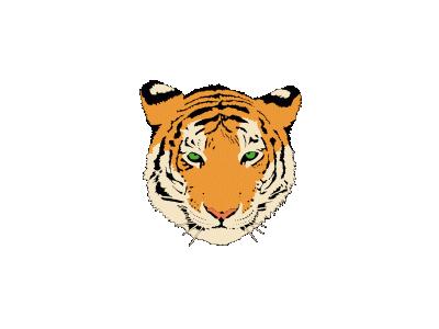 Tiger Graig Ryan Smith   01 Animal