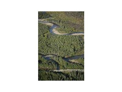 Bonanza Creek And Dalton Highway 00469 Photo Small Wildlife