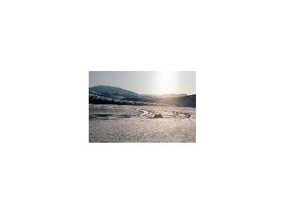 Airplane Tracks In The Snow On The Noatak River 00588 Photo Small Wildlife