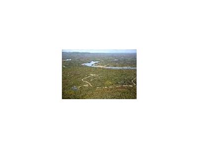 Alatna New Village Site On Koyukuk River 00668 Photo Small Wildlife