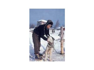 Local Resident With Sled Dog 00689 Photo Small Wildlife