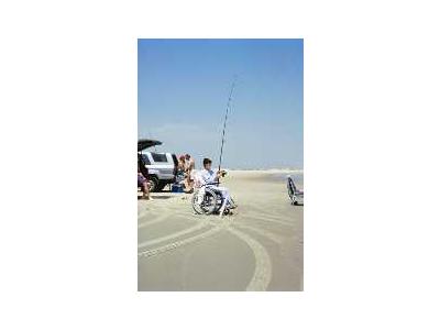 WO 5447 Surf Fishing Outer Banks North Carolina 00771 Photo Small Wildlife