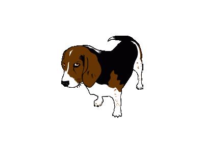 Beagle Copper Ganson Animal