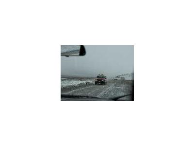 Dalton Highway August Snow Storm 00897 Photo Small Wildlife