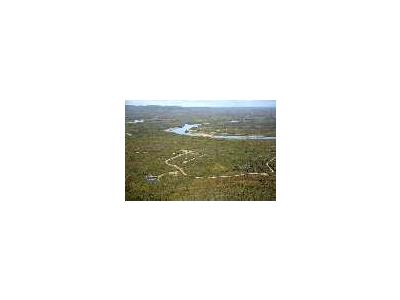 Alatna New Village Site On Koyukuk River 00987 Photo Small Wildlife