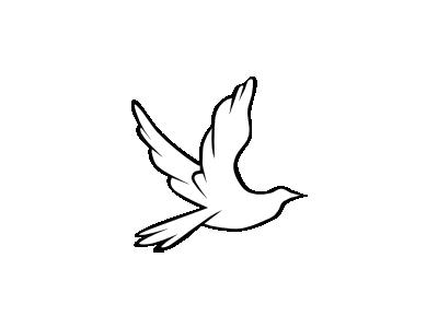Dove Symbol Animal