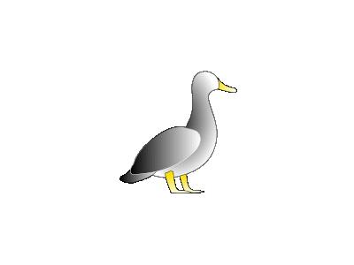 Jonathon S Duck 01 Animal