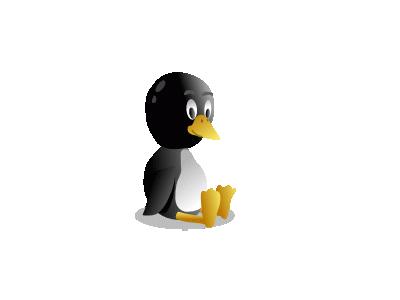 Bb Pingu  Computer