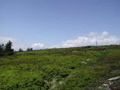 Photo Big Mountain 97 Landscape