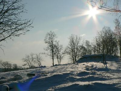 Photo Big Sunshine On Snowy Tree Hill Landscape
