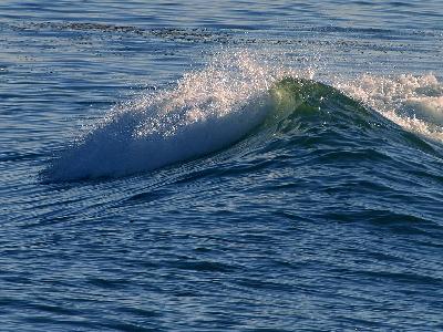 Photo Big Wave Ocean