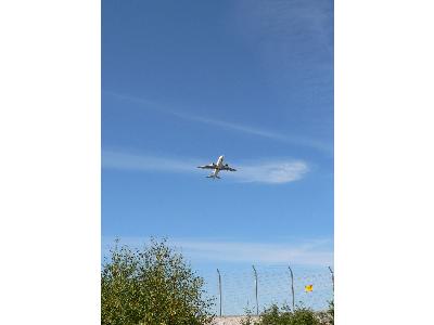 Photo Big Airplane Taking Off 4 Vehicle