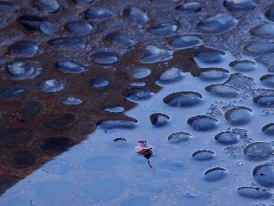 Photo Big Rain Puddle Other