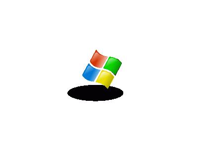 WINDOWS Computer