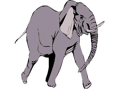 Elefante In Corsa Big Other