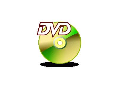 Dvd Mount Computer