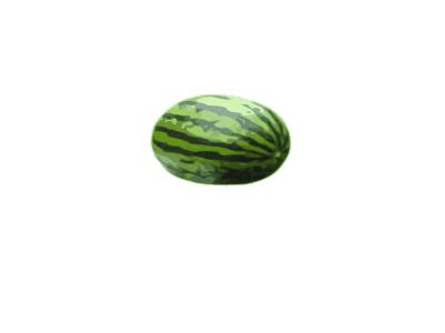 Watermelon James Kilfige 01 Food