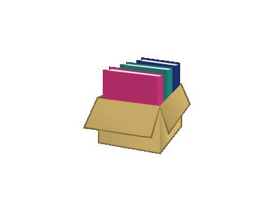 Box With Folders Nicu Bu 01 Office