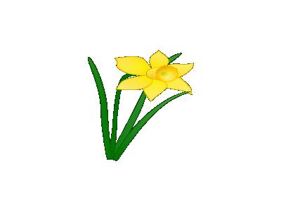 Daffodil Jonathan Dietri 01 Plants