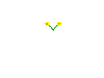 Simple Five Pettle Daff 01 Plants