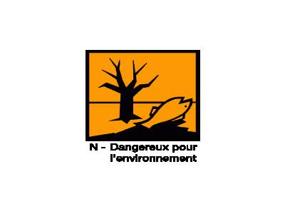 Risque Pour L Environne 01 Symbol