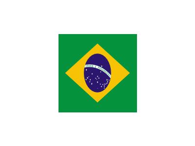 Flag Of Brazil Rodrigo T1 Symbol