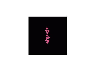 Flower Bed 0 Symbol 1m Bwh Symbol