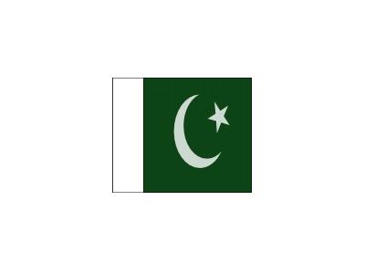 Pakistani Official Flag 01 Symbol