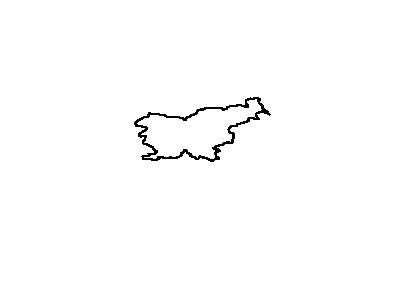 Map Of Slovenia In Euro 01 Symbol