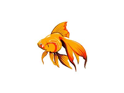 PESCETTO Other