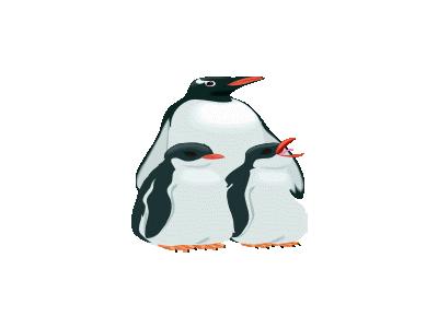 Pinguino3 Other